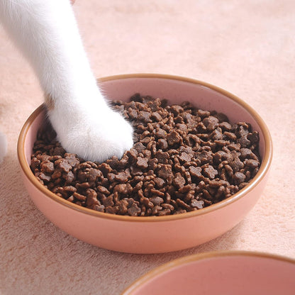 Howise Ceramic Cat Bowls - 3 Pack 5.19 inch Pet Dishes for Food and Water, Matte Pink Finish