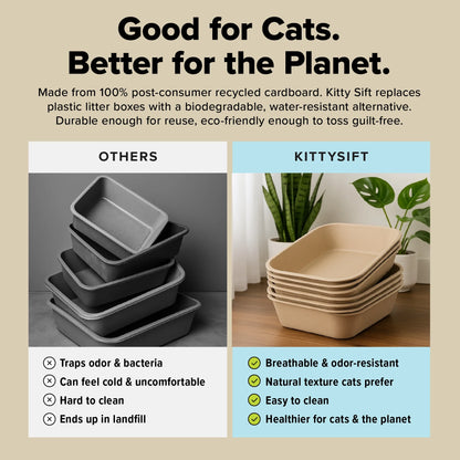 Premium Eco-Friendly Large Cat Sifter Litter Box with Scoop - Set of 6