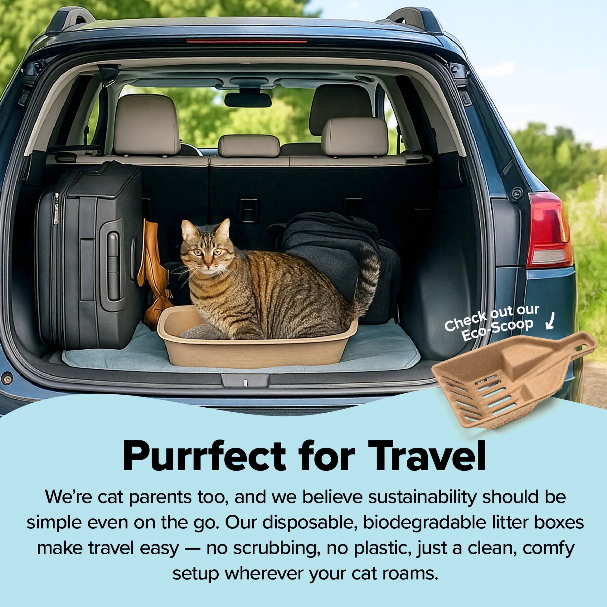 Premium Eco-Friendly Large Cat Sifter Litter Box with Scoop - Set of 6