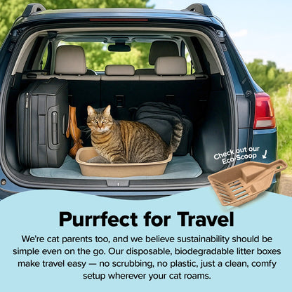 Premium Eco-Friendly Large Cat Sifter Litter Box with Scoop - Set of 6