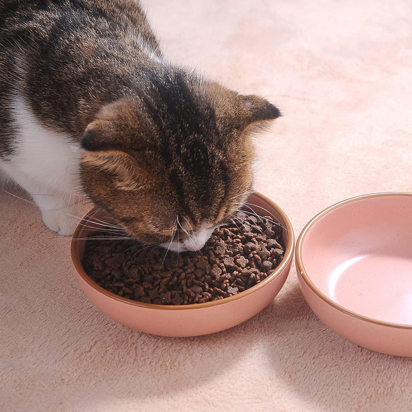 Howise Ceramic Cat Bowls - 3 Pack 5.19 inch Pet Dishes for Food and Water, Matte Pink Finish